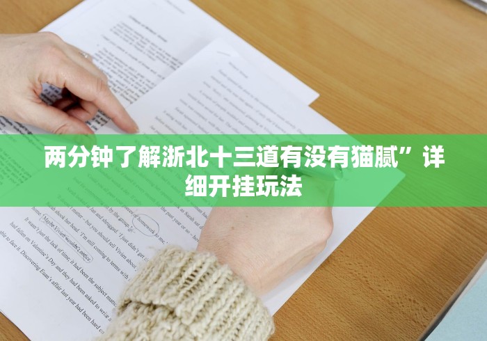 两分钟了解浙北十三道有没有猫腻”详细开挂玩法