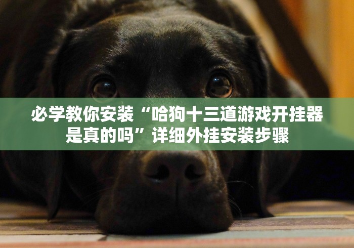 必学教你安装“哈狗十三道游戏开挂器是真的吗”详细外挂安装步骤