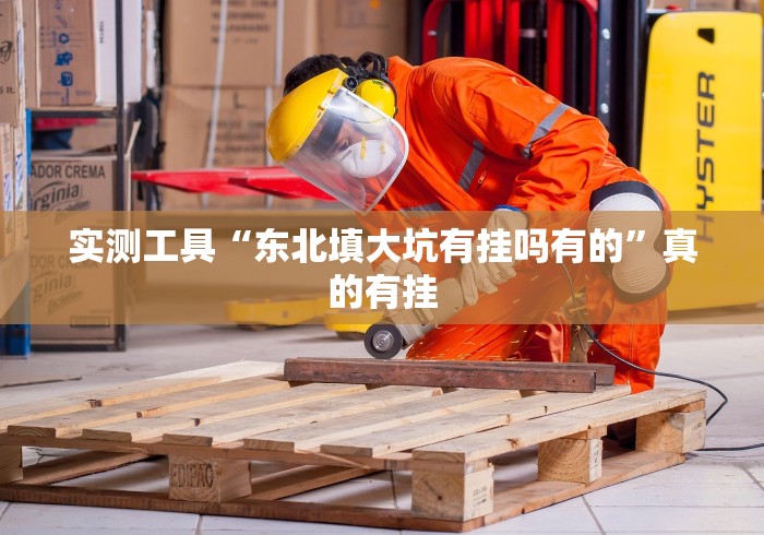 实测工具“东北填大坑有挂吗有的”真的有挂