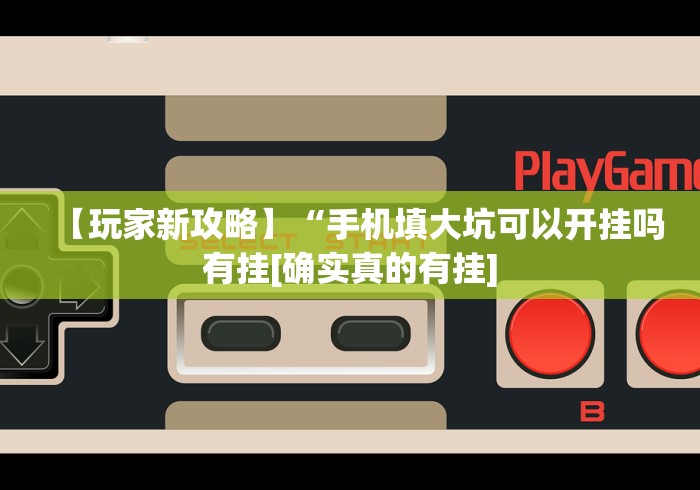 【玩家新攻略】“手机填大坑可以开挂吗有挂[确实真的有挂]