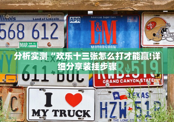 使用分享“一天棋牌赢的秘诀!分享用挂教程