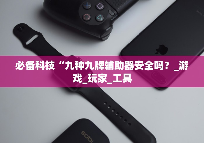 必备科技“九种九牌辅助器安全吗？_游戏_玩家_工具
