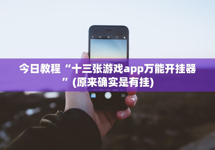 今日教程“十三张游戏app万能开挂器”(原来确实是有挂)