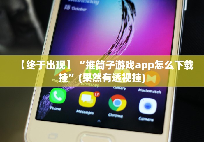 【终于出现】“推筒子游戏app怎么下载挂”(果然有透视挂)